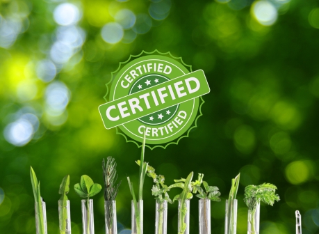 Effervescent tablets in water